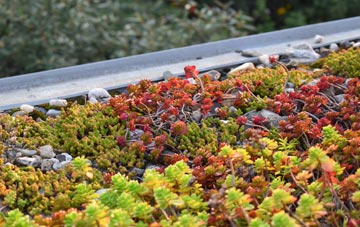 the cost of Clevancy green roof installation