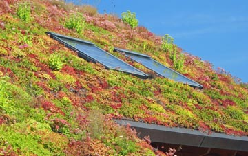 Clevancy living roof systems