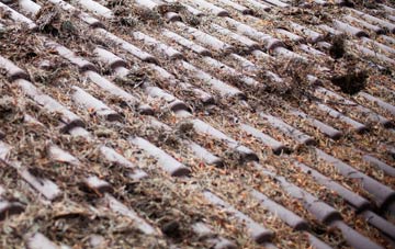 Clevancy roof cleaning companies