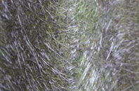 Clevancy fibreglass roof work